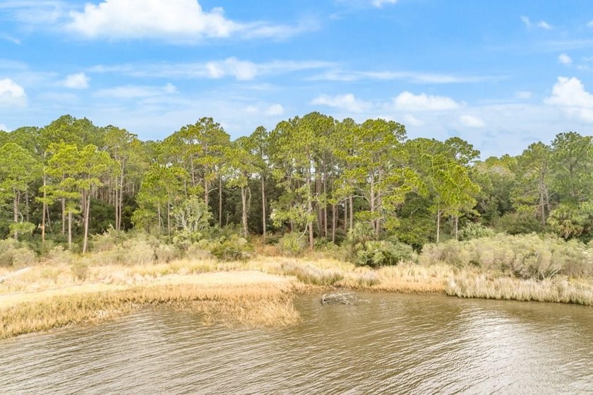 Over ONE ACRE of BAY FRONT property.  Old native palms - Beach Lot for sale in Carabelle, Florida on Beachhouse.com