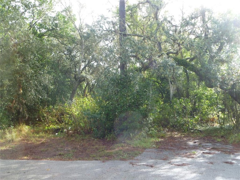 Opportunity to Build it Your Way. Single Family or Mobile Home - Beach Lot for sale in New Port Richey, Florida on Beachhouse.com