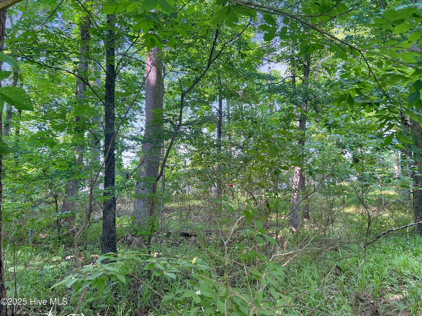 Don't miss this opportunity to own a beautiful riverfront lot - Beach Lot for sale in Edenton, North Carolina on Beachhouse.com