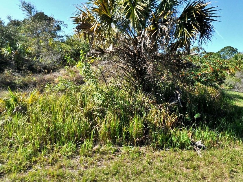 What a location on a freshwater canal that wraps around a good - Beach Lot for sale in North Port, Florida on Beachhouse.com