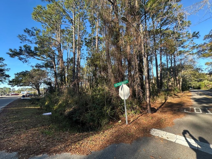 Flood Zone X Corner Lot! This lot is ready for your custom home - Beach Lot for sale in Apalachicola, Florida on Beachhouse.com