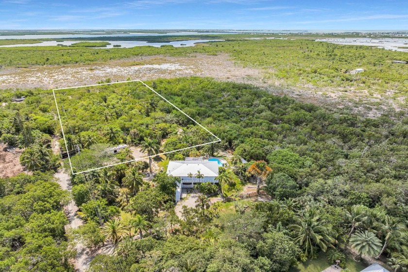 Over TWO acres of pristine land with native plants winding roads - Beach Lot for sale in Cudjoe Key, Florida on Beachhouse.com