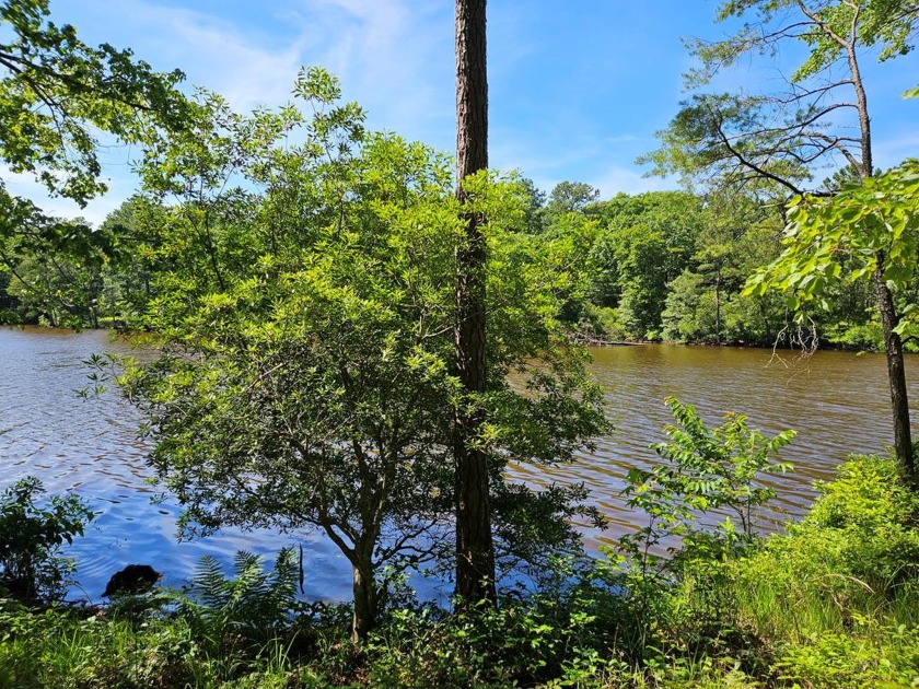 Level, wooded lot on Condit Pond. Build your private getaway - Beach Lot for sale in Heathsville, Virginia on Beachhouse.com