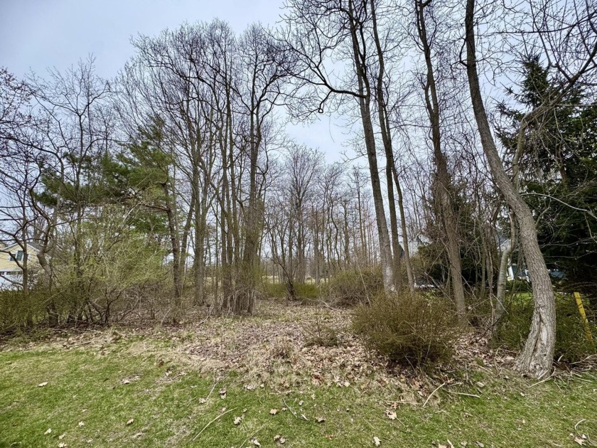 Located off Center St between downtown Douglas and the Beach - Beach Lot for sale in Douglas, Michigan on Beachhouse.com