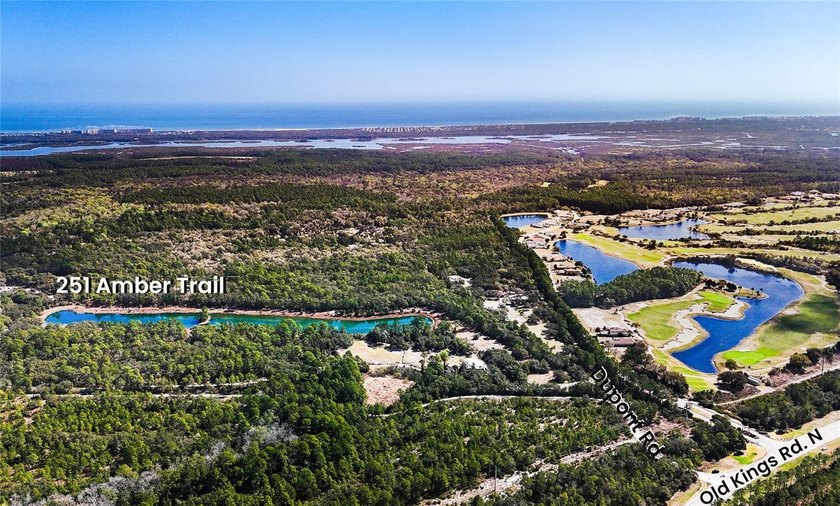 Prime development opportunity! Welcome to 251 Amber Trail, a - Beach Acreage for sale in Palm Coast, Florida on Beachhouse.com