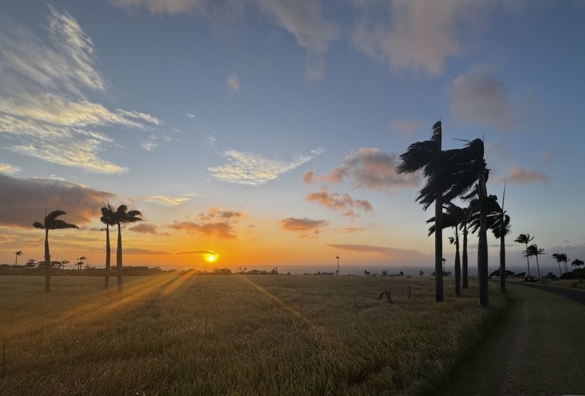 Discover your dream home site in the prestigious gated community - Beach Acreage for sale in Hawi, Hawaii on Beachhouse.com