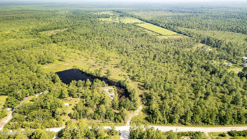 Great investment opportunity! 34.38 Acres of land that backs up - Beach Acreage for sale in Hampstead, North Carolina on Beachhouse.com