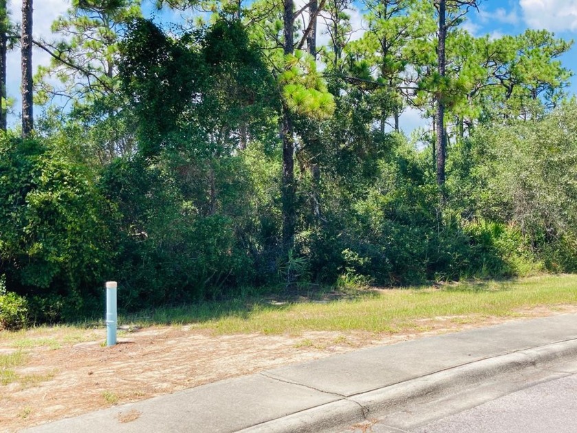 This is a nice building lot in the beautiful St. James Bay Golf - Beach Lot for sale in Carabelle, Florida on Beachhouse.com