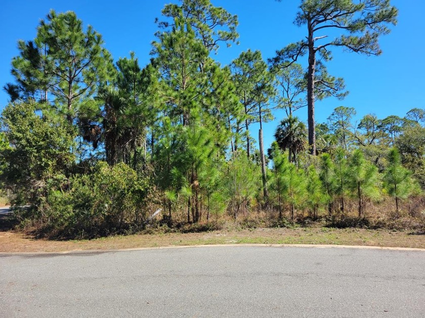 Discover serenity at the end of the road in the Mystic Palms - Beach Lot for sale in Port St Joe, Florida on Beachhouse.com