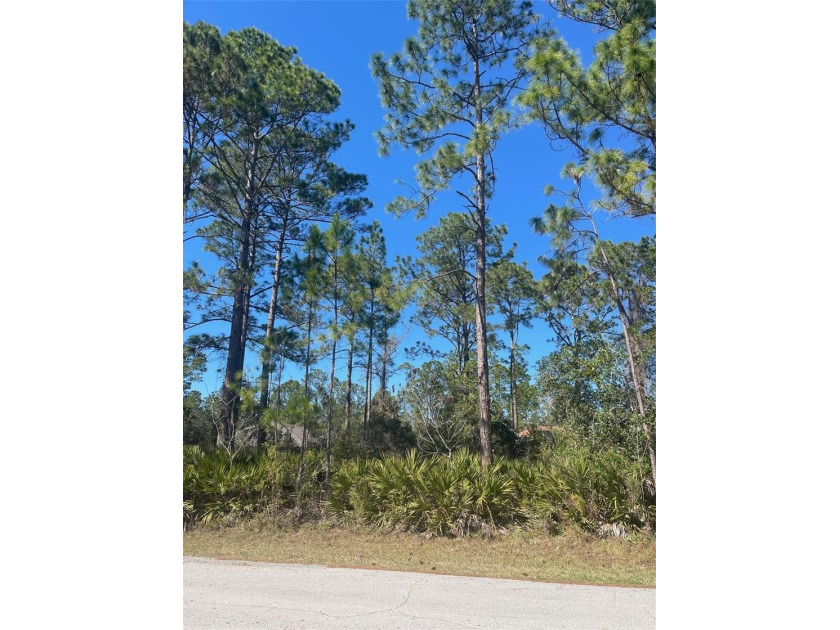 Tucked away near the end of a peaceful cul-de-sac, this - Beach Lot for sale in Palm Coast, Florida on Beachhouse.com