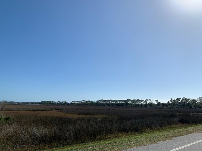 Live the Indian Pass Life... This 11.4 acre parcel is situated - Beach Acreage for sale in Port St Joe, Florida on Beachhouse.com
