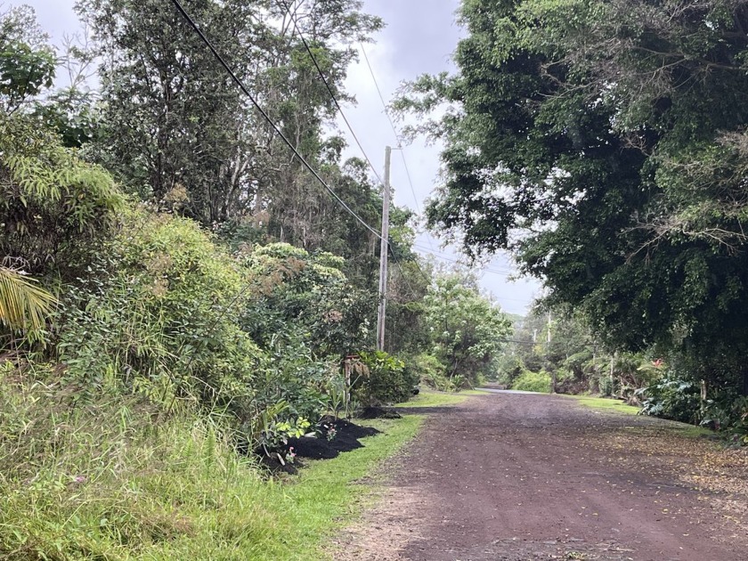 Black Sand Beach subdivision affordable wooded property to build - Beach Lot for sale in Pahoa, Hawaii on Beachhouse.com