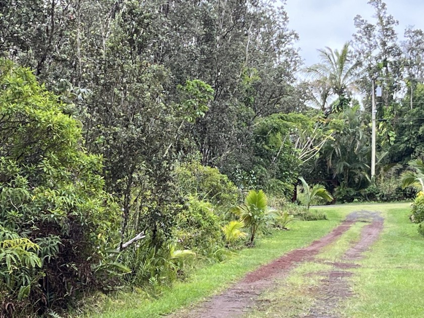 Black Sand Beach beautiful wooded affordable side by side lots - Beach Lot for sale in Pahoa, Hawaii on Beachhouse.com