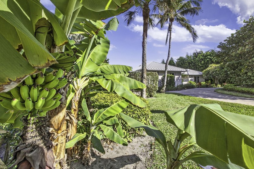 Exquisite oceanfront estate on prestigious Jupiter Island, fully - Beach Home for sale in Jupiter Island, Florida on Beachhouse.com