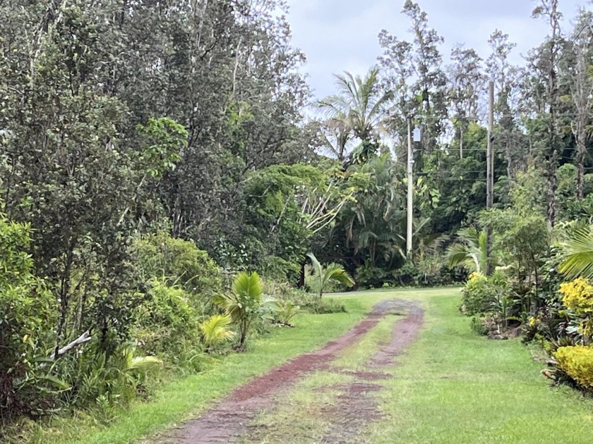 Black Sand Beach beautiful wooded affordable side by side lots - Beach Lot for sale in Pahoa, Hawaii on Beachhouse.com