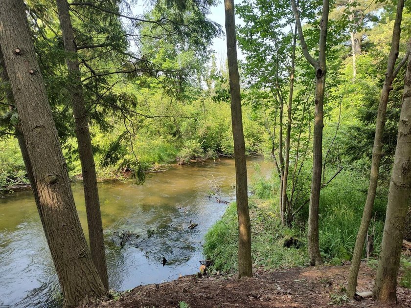 Big Sable River! Stunning riverfront parcel offering - Beach Lot for sale in Free Soil, Michigan on Beachhouse.com