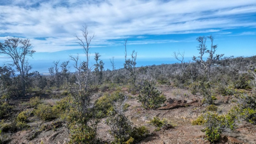 This property offers a rugged landscape scattered with sparse - Beach Lot for sale in Ocean View, Hawaii on Beachhouse.com