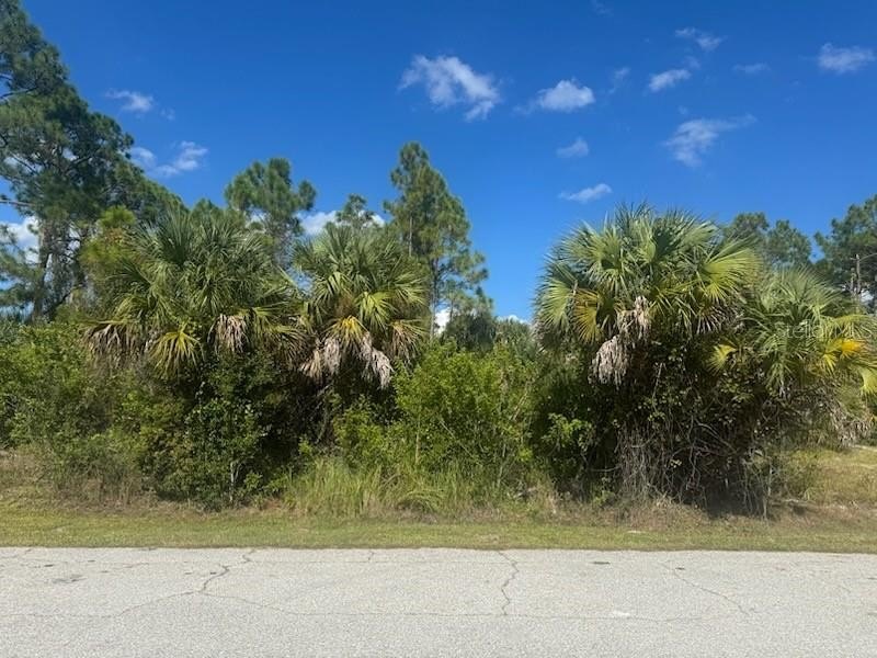 Brush only--no big trees! Fill already on property!

Discover - Beach Lot for sale in North Port, Florida on Beachhouse.com