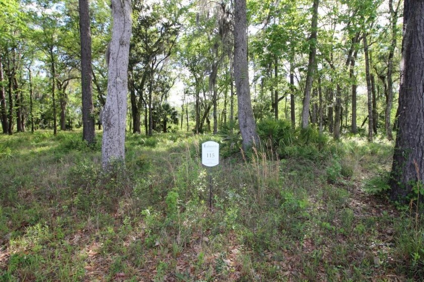 Build your DREAM HOME in LAKESIDE AT LONGWOOD on this .67 acre - Beach Lot for sale in Brunswick, Georgia on Beachhouse.com