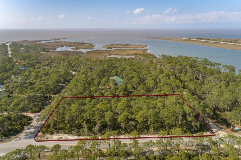 Welcome to the St George Island Plantation and coastal solitude - Beach Lot for sale in St. George Island, Florida on Beachhouse.com