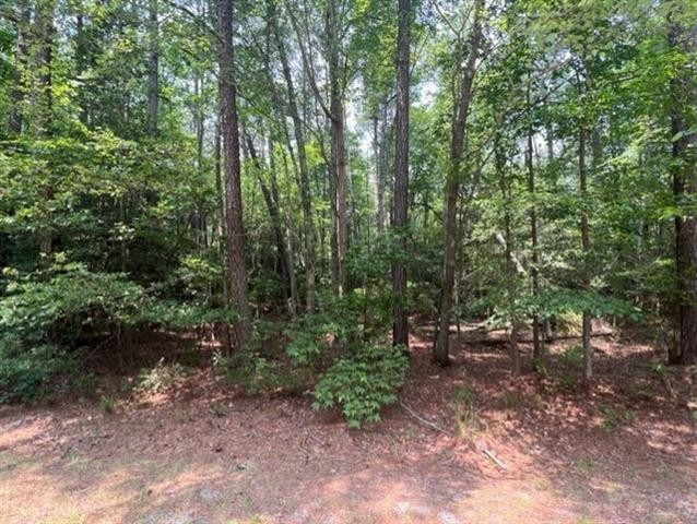 Almost a full acre (0.99) wooded, building lot in White Sand - Beach Lot for sale in Heathsville, Virginia on Beachhouse.com