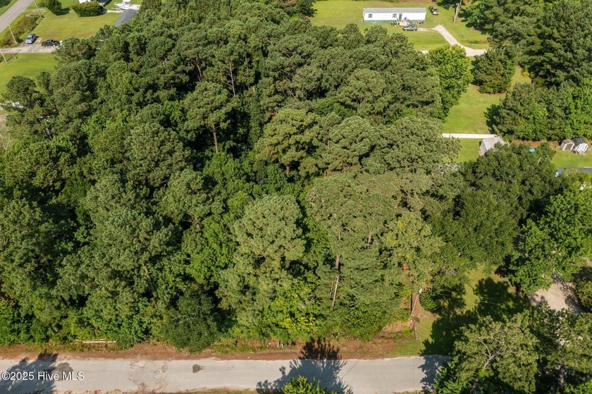 Wooded Lot in Sea Gate Subdivision Tucked away in the peaceful - Beach Lot for sale in Beaufort, North Carolina on Beachhouse.com