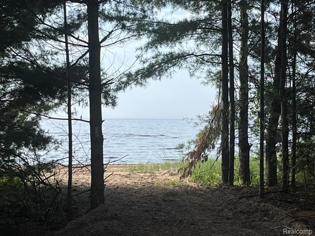 2.2 Acre Lot with 106' Beach Frontage on Lake Michigan's Golden - Beach Acreage for sale in Escanaba, Michigan on Beachhouse.com