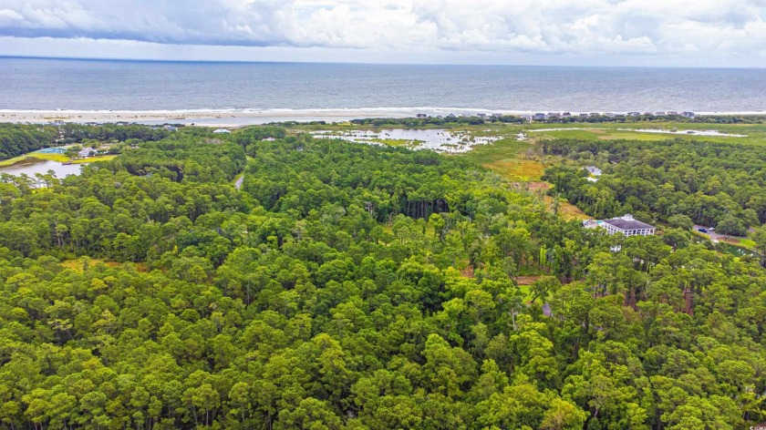 Don't miss this rare opportunity to own a 2 acre piece of - Beach Lot for sale in Pawleys Island, South Carolina on Beachhouse.com