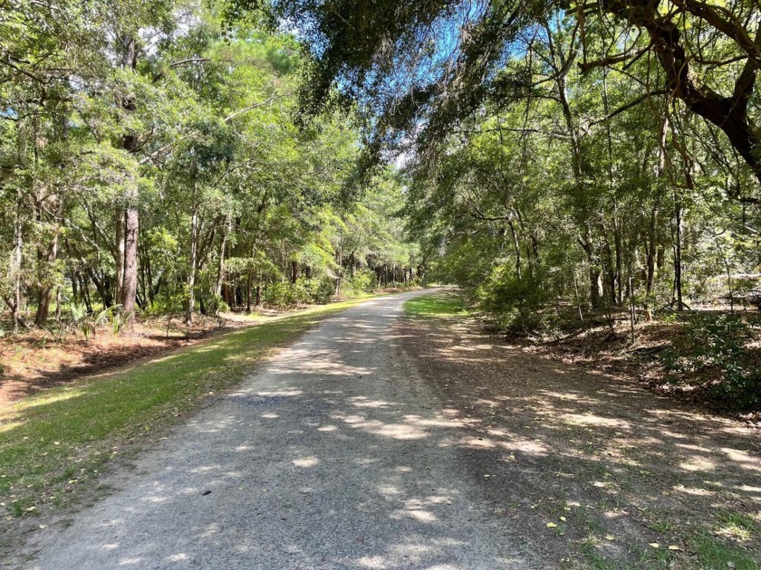 Here is your opportunity to purchase over 4 acres of land that - Beach Acreage for sale in Edisto Island, South Carolina on Beachhouse.com