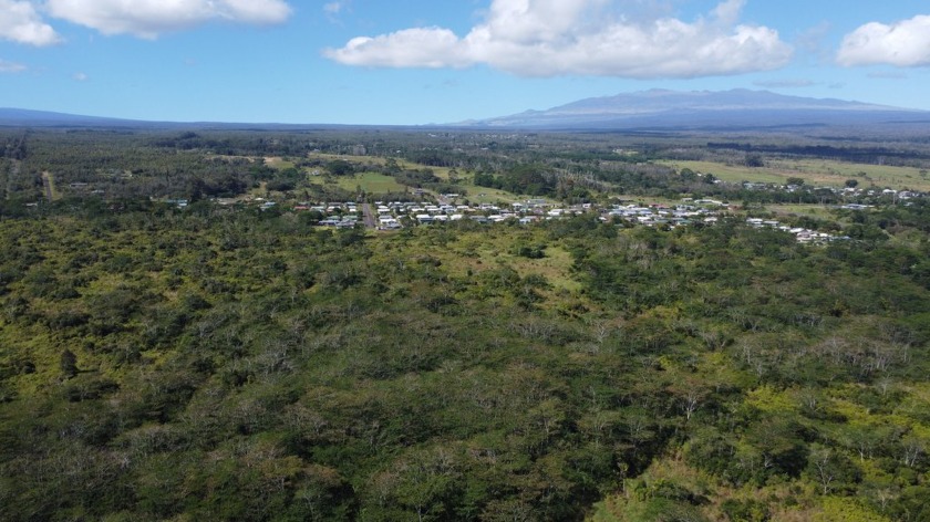 Puainako Heights is a fee simple, residential development - Beach Acreage for sale in Hilo, Hawaii on Beachhouse.com