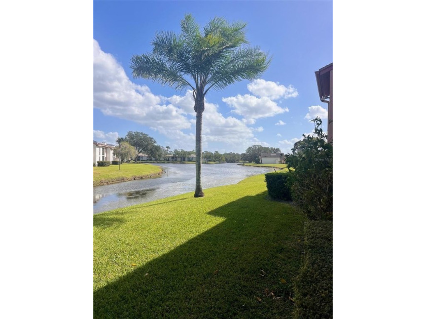 Welcome to this stunning 2-bedroom, 2-bathroom first-floor condo - Beach Condo for sale in Oldsmar, Florida on Beachhouse.com