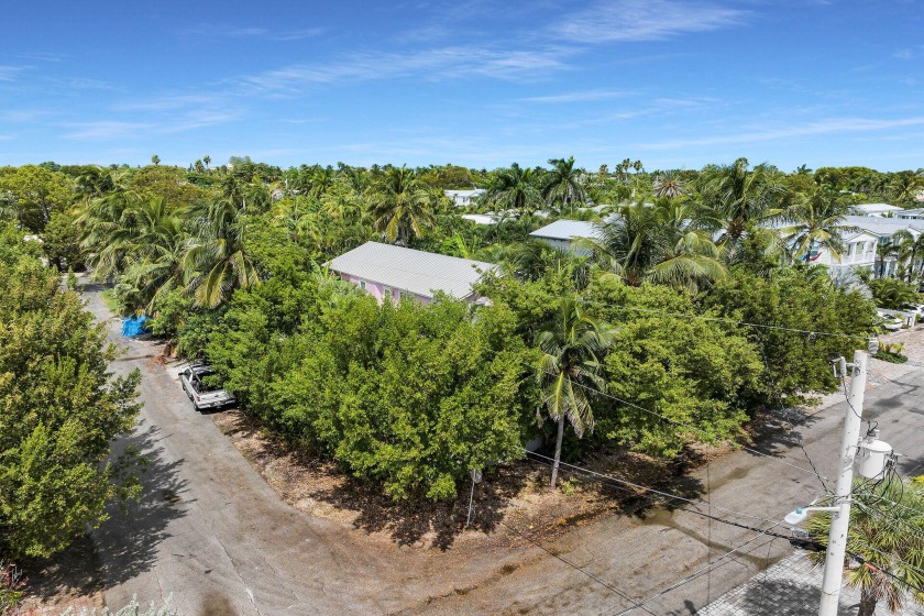 MOTIVATED SELLER. SELLER FINANCING OFFERED. This is an excellent - Beach Home for sale in Key West, Florida on Beachhouse.com