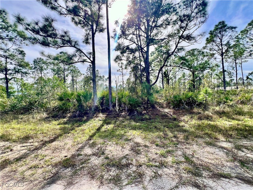 Very nice southern rear exposure lot in a fast developing area - Beach Lot for sale in Punta Gorda, Florida on Beachhouse.com