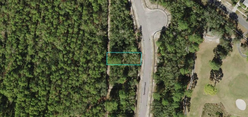 Take a look at this beautiful homesite in the Beautiful St - Beach Lot for sale in Lanark Village, Florida on Beachhouse.com