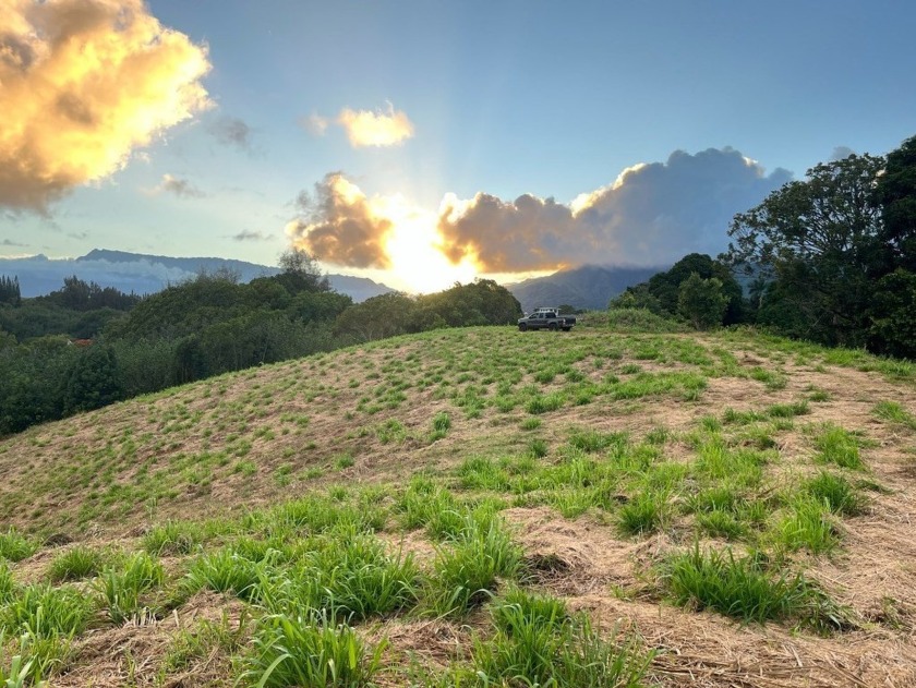 A  meandering driveway leads to a mountain top. From the top of - Beach Lot for sale in Kapaa, Hawaii on Beachhouse.com