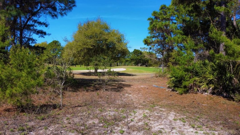 Desirable, partially cleared, 7,600SF lot located on Royal Tern - Beach Lot for sale in Carabelle, Florida on Beachhouse.com