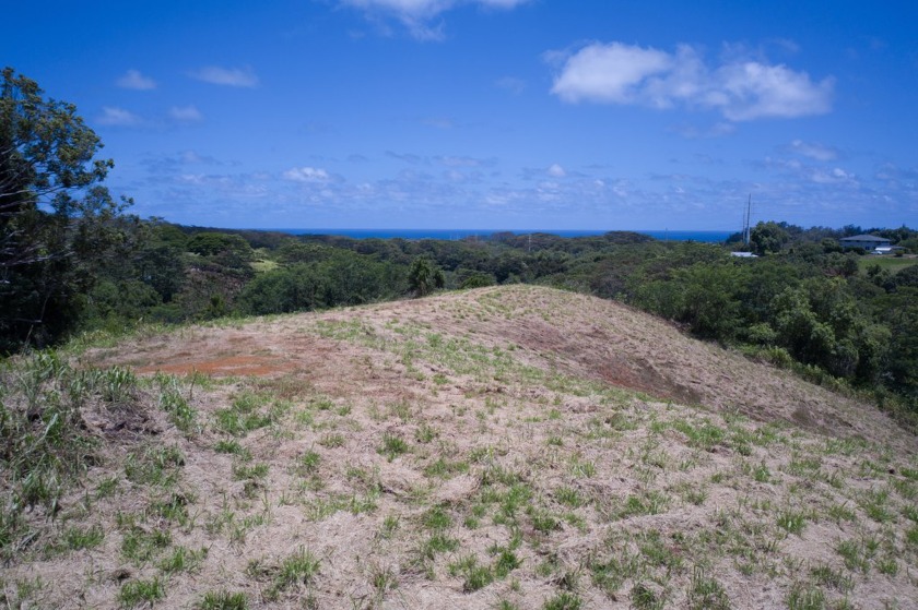 A meandering driveway leads to a mountain top. From the top of - Beach Acreage for sale in Kapaa, Hawaii on Beachhouse.com