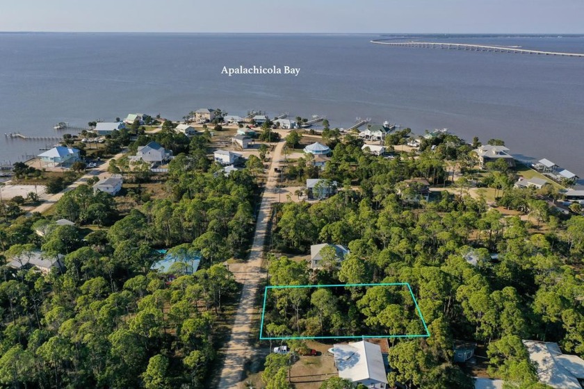 Another great opportunity to own a slice of paradise! This 1/3 - Beach Lot for sale in St. George Island, Florida on Beachhouse.com