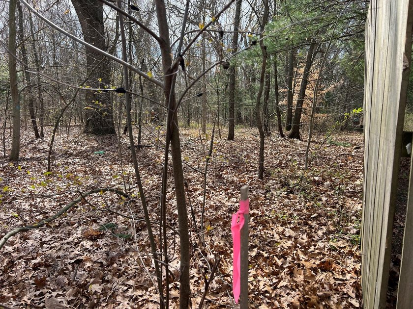 Land is 1.664 acres of buildable wooded land in Reeths-Puffer - Beach Lot for sale in Muskegon, Michigan on Beachhouse.com
