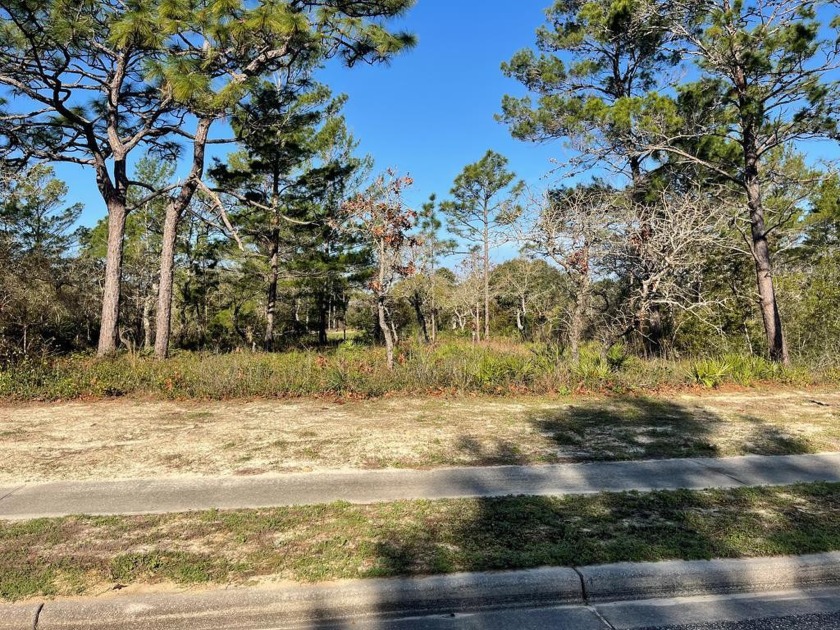 Great building lot located on hole number 10 at the Audubon - Beach Lot for sale in Carabelle, Florida on Beachhouse.com