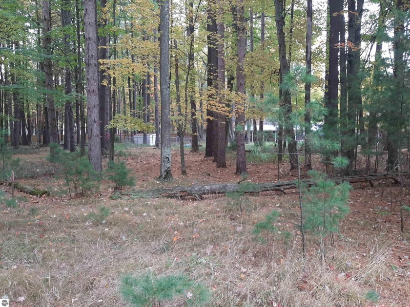 Mostly wooded building site.  Convenient location for fishing - Beach Lot for sale in East Tawas, Michigan on Beachhouse.com