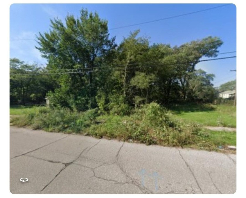 Great Lot close to Lake Michigan. Hurry and grab this piece of - Beach Lot for sale in Gary, Indiana on Beachhouse.com