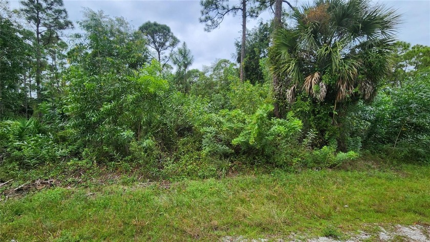 Just a few minutes from the I-75 entrance ramp, you have quick - Beach Lot for sale in Punta Gorda, Florida on Beachhouse.com
