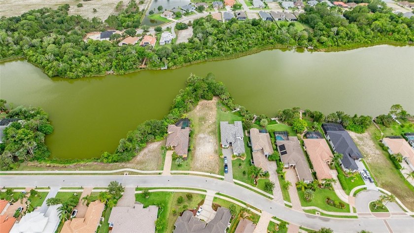 Discover the perfect blend of privacy, luxury, and nature with - Beach Lot for sale in Palm Coast, Florida on Beachhouse.com