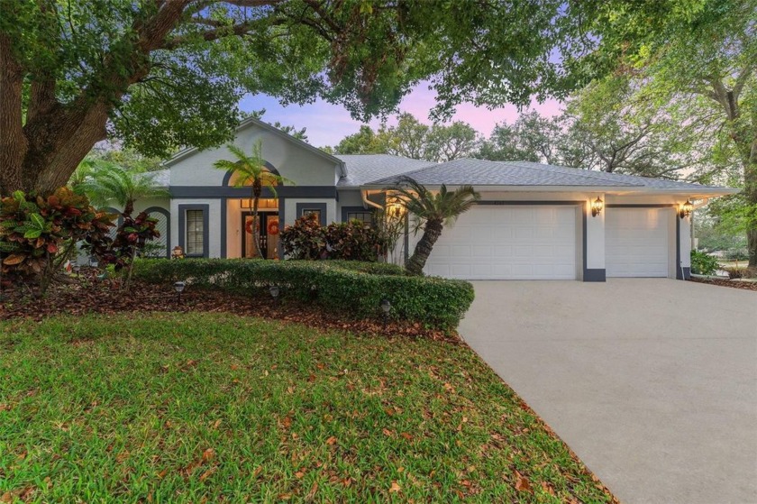 High and Dry through both recent storms. Welcome to your dream - Beach Home for sale in Palm Harbor, Florida on Beachhouse.com