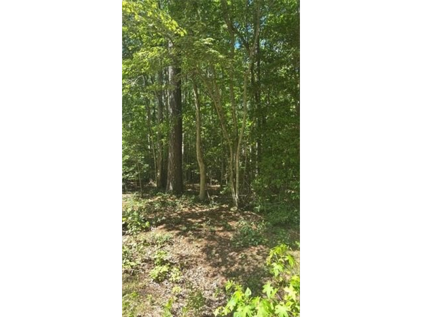 A Beauty awaiting your Dream Plans: 5.23 AC of Beauty, Serenity - Beach Lot for sale in Gloucester, Virginia on Beachhouse.com