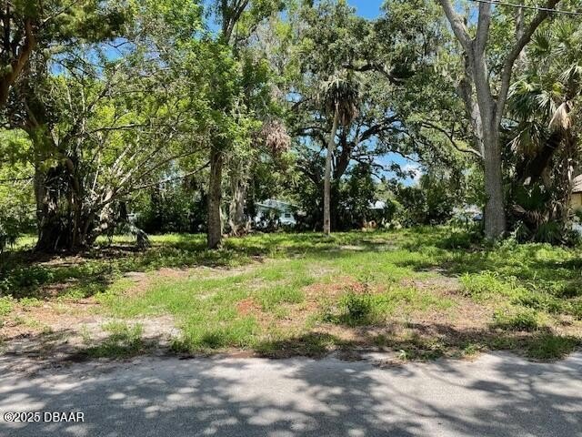 Build your vision on this 0.49 acre residential lot nestled in a - Beach Lot for sale in Daytona Beach, Florida on Beachhouse.com
