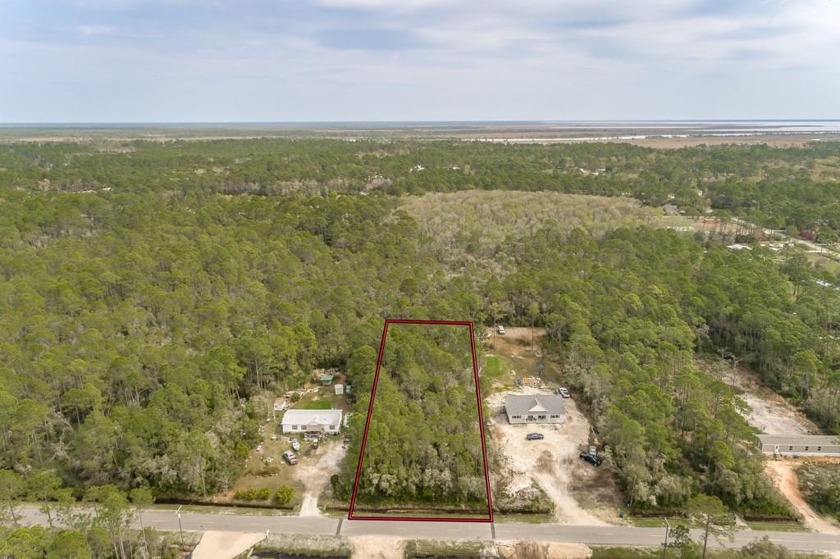 Escape to tranquility with this one-acre homesite in the quiet - Beach Lot for sale in Apalachicola, Florida on Beachhouse.com