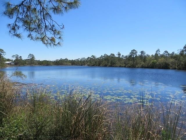 Surround yourself in harmony on this beautiful 1.3 acre lot on - Beach Lot for sale in Carabelle, Florida on Beachhouse.com