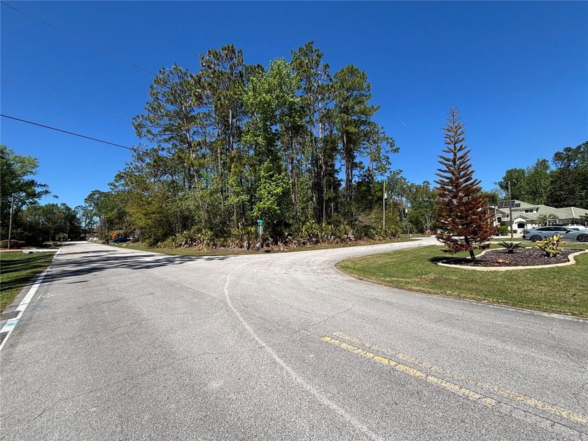 Corner lot located in highly desirable Cypress Knolls - Beach Lot for sale in Palm Coast, Florida on Beachhouse.com